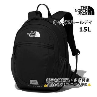 THE NORTH FACE - 日本未発売 ノースフェイス North Face リュックの