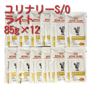 ROYAL CANIN - ロイヤルカナン 猫用アミノペプチドフォーミュラ 2Kg 2