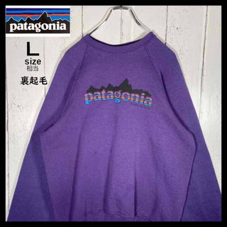 patagonia - 古着 パタゴニア Patagonia RHYTHM リズムプラッシュ