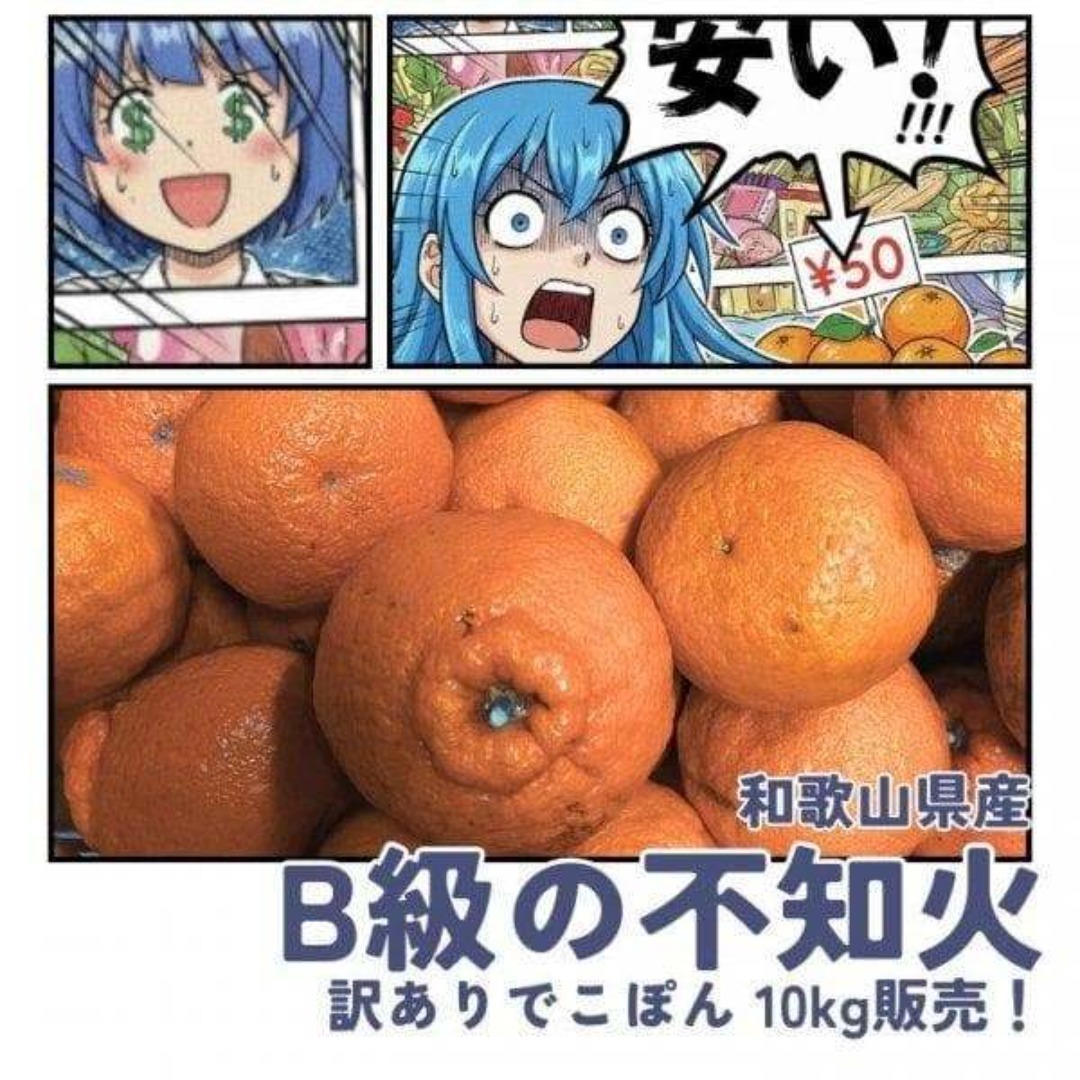 激安！和歌山産 甘い 訳あり 不知火 デコ 10kg 送料無料 でこぽんの