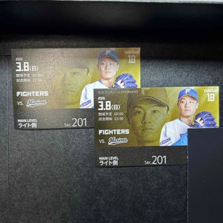 読売ジャイアンツ - ジャイアンツ ファンフェスタ 2025 事前引換券の