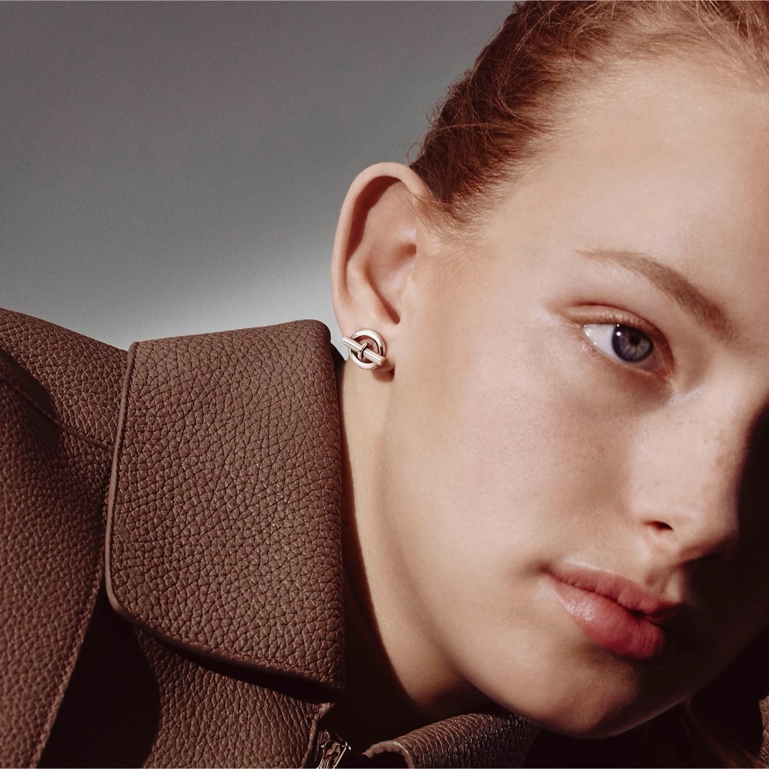 HERMES - 新品・直営店購入 エルメス ミニシェーヌダンクル ピアス