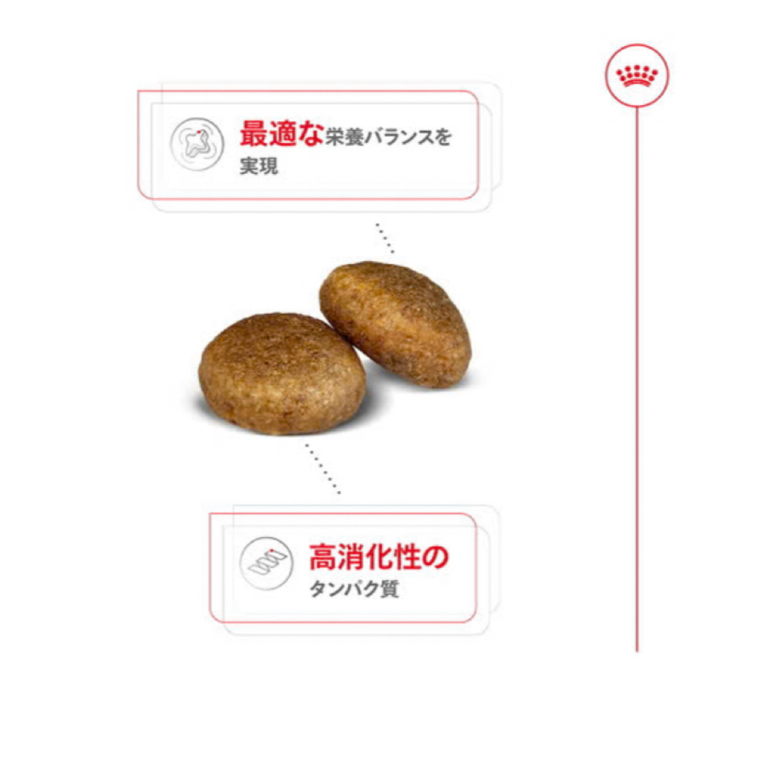 大型犬用 ドライフード 16kg 成犬用 新品未開封 ロイヤルカナンの通販