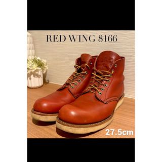 REDWING - 半円犬タグ8167スエードアイリッシュセッター875犬刻印8173