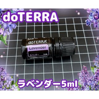 ヤングリヴィング YLベーシックキットシングル レモン ラベンダー