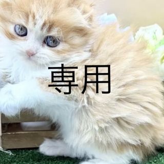 GUERLAINの中古フリマアイテム一覧