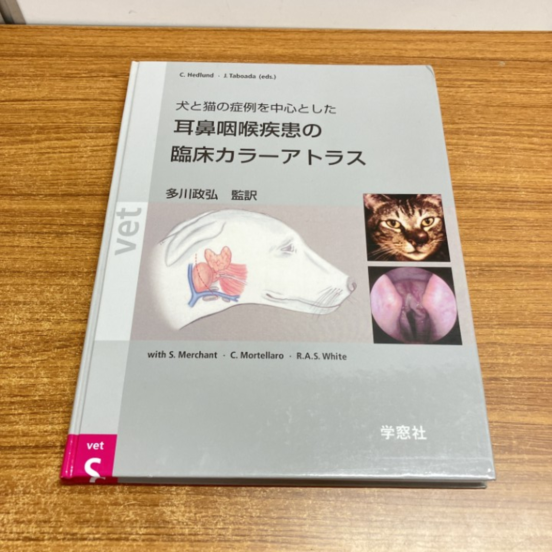 △01)【1点限り!】犬と猫の症例を中心とした耳鼻咽喉疾患の臨床カラー
