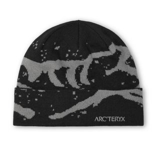 ARC'TERYX - ARC'TERYX Word Head Toque Arctic Silkの通販 by