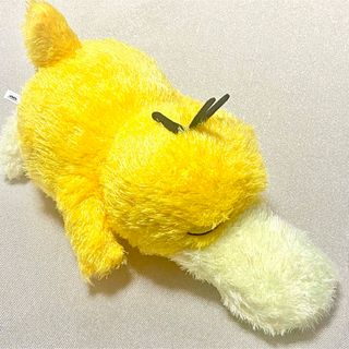 ポケモン - メガリザードンXのポンチョを着たピカチュウの通販 by