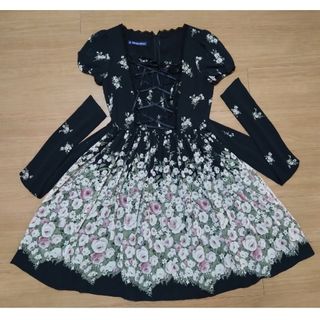 Moi-meme-Moitie / シフォンフロッキープリントワンピース H-23-02-06