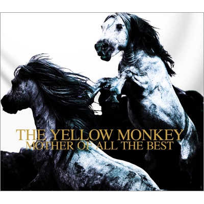 MOTHER OF ALL THE BEST : THE YELLOW MONKEY | HMV&BOOKS online