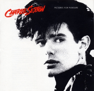 Pictures For Pleasure +1 : Charlie Sexton | HMV&BOOKS online