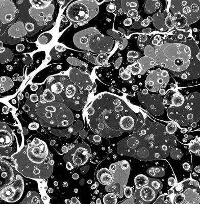 The Last One Poesies : Les Rallizes Denudes 裸のラリーズ詩集