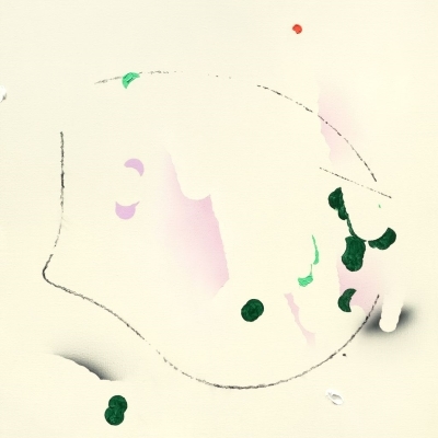 mukuge (アナログレコード) : 鈴木真海子 | HMV&BOOKS online - ZITI0004LP