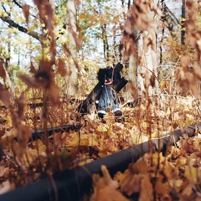 Golliwog : Billy Woods | HMV&BOOKS online - BWZ804JCD