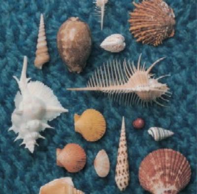 CYCLE HIT 1991-1997 Spitz Complete Single Collection : スピッツ