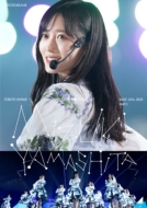 乃木坂46 最新 ライブ ブルーレイ＆DVD『MIZUKI YAMASHITA GRADUATION