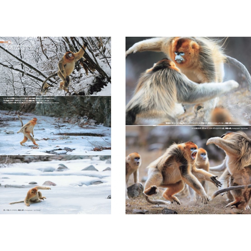 世界の動物遺産 世界編・日本編 | HMV&BOOKS online - 9784081570614