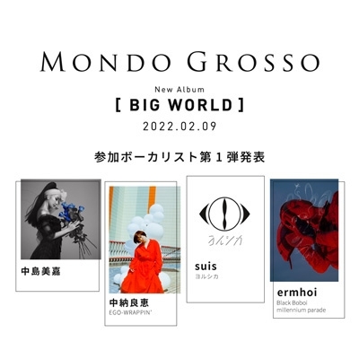 BIG WORLD : MONDO GROSSO | HMV&BOOKS online - RZCB-87061