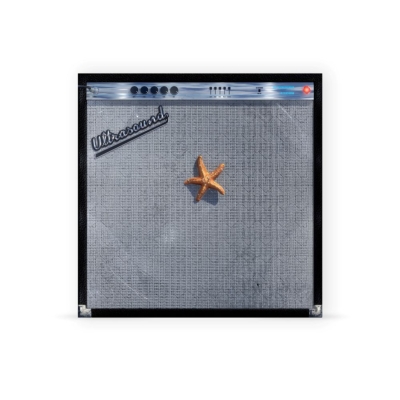 Ultrasound +(カラーヴァイナル仕様/2枚組アナログレコード) : The