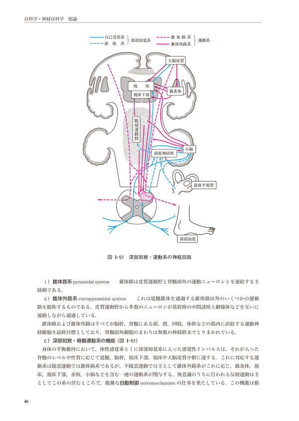 新耳鼻咽喉科学 切替 一郎(原著) - 南山堂 | 版元ドットコム