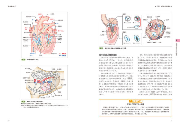 愛玩動物看護師の教科書 第1巻 緑書房編集部(編) - 緑書房 | 版元