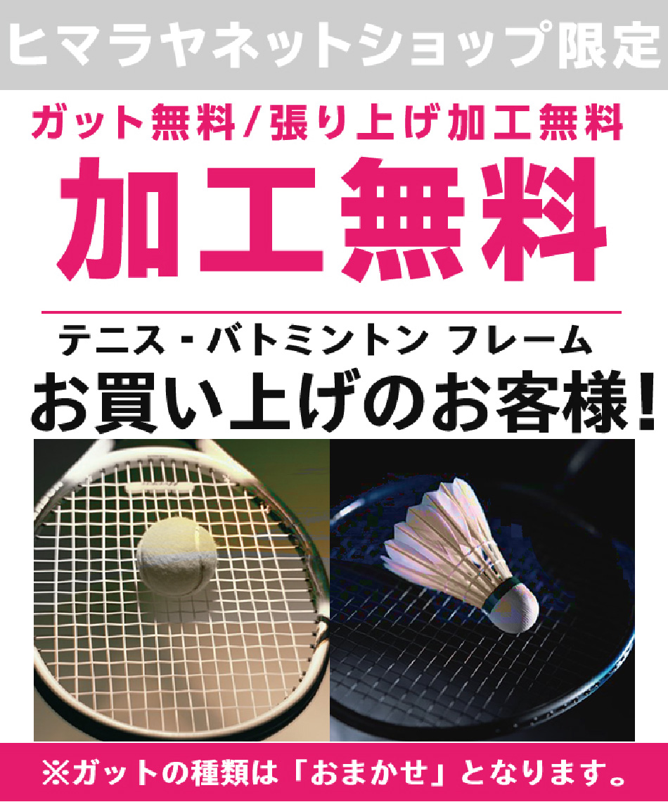 ヨネックス(YONEX) バドミントンラケット ナノレイZ-スピード NR-ZSP