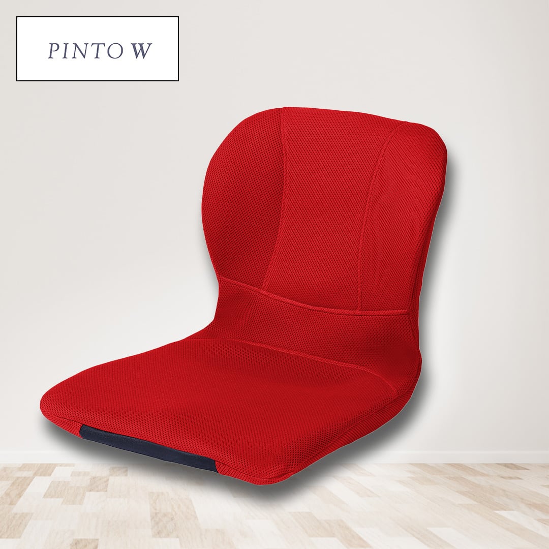 ピーエーエス フィットネス用品 姿勢サポートクッションピント