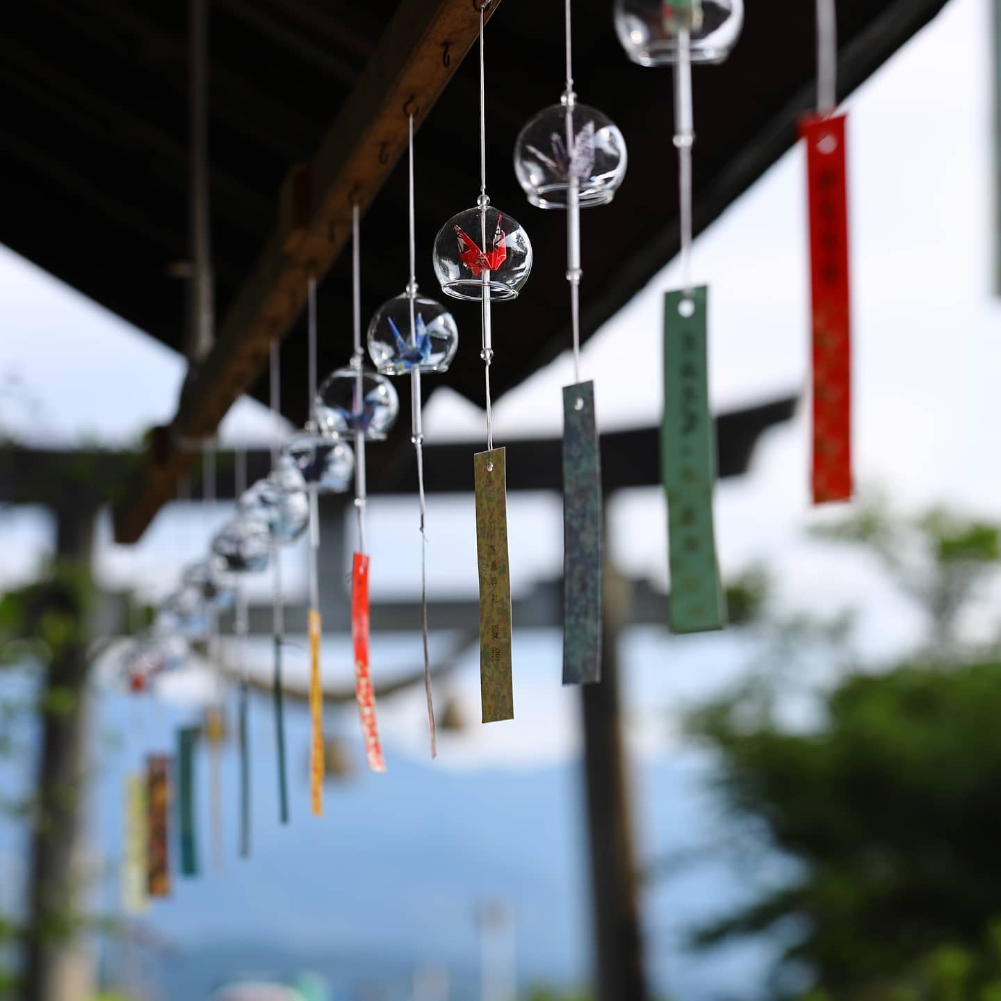 Canon EF100mm F2.8Lマクロ IS USMを徹底解説。作例からレビューまで