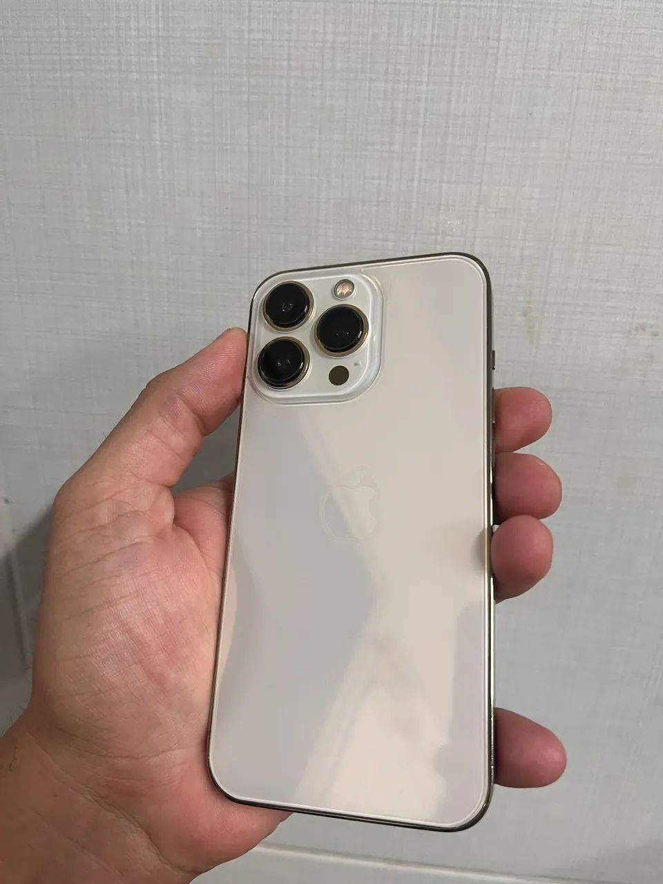 iPhone 13 Pro 256GB - Celulares e Smartphones - Parque Amazônia