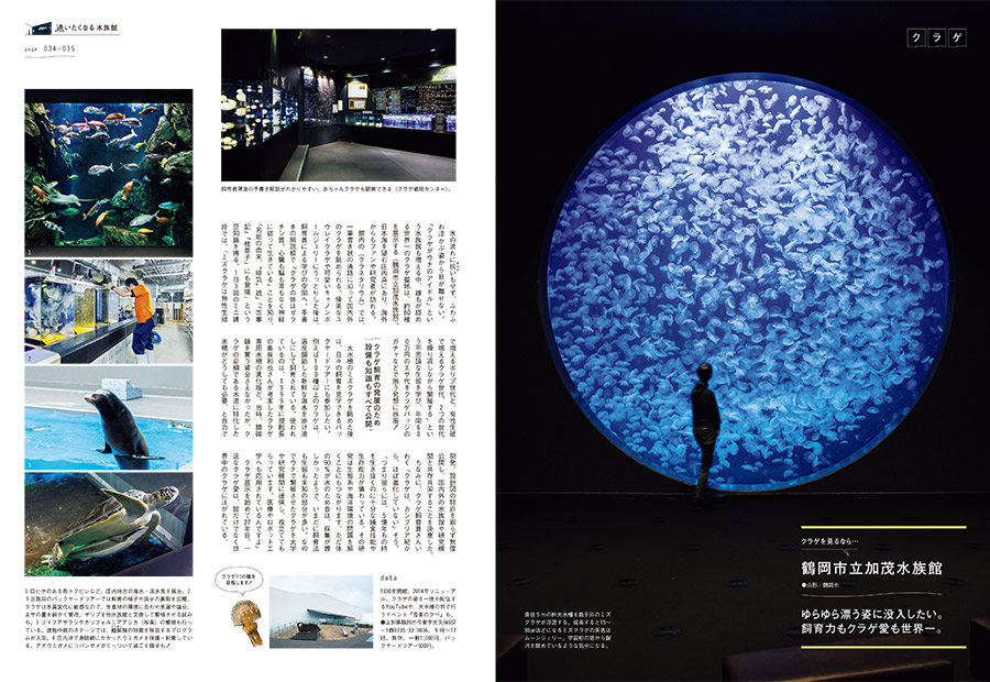 Brutus No. 1003 試し読みと目次 | BRUTUS | マガジンワールド