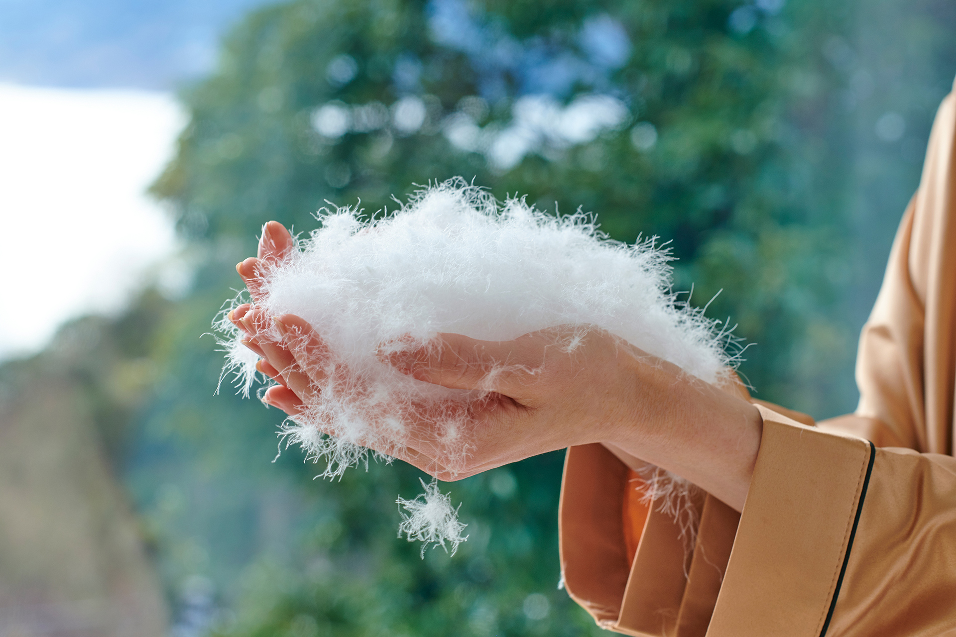 クラシカル羽毛枕 – 和雲