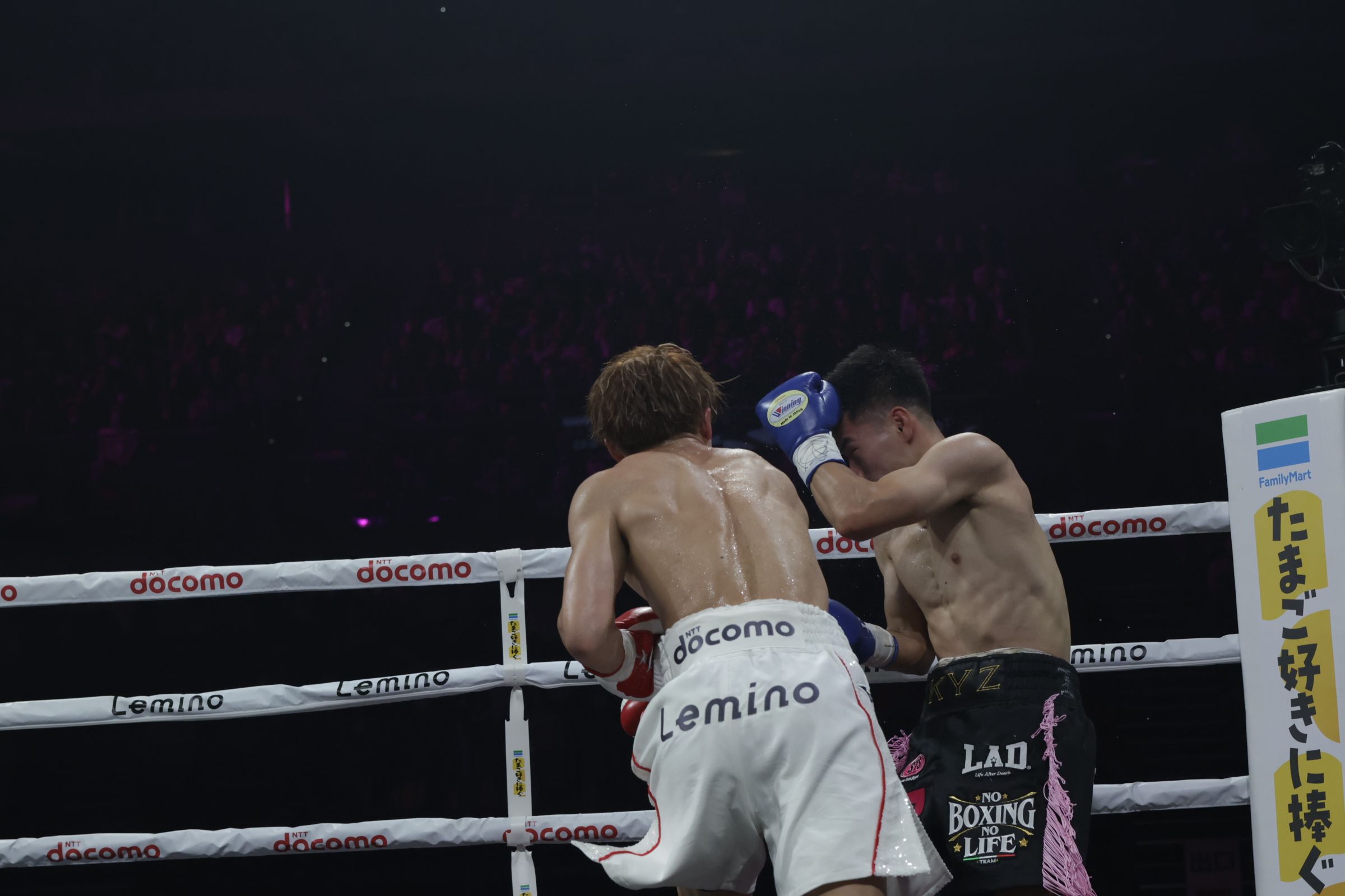 Lemino BOXING】井上尚弥が衝撃の右ストレートでキム・イェジュンに