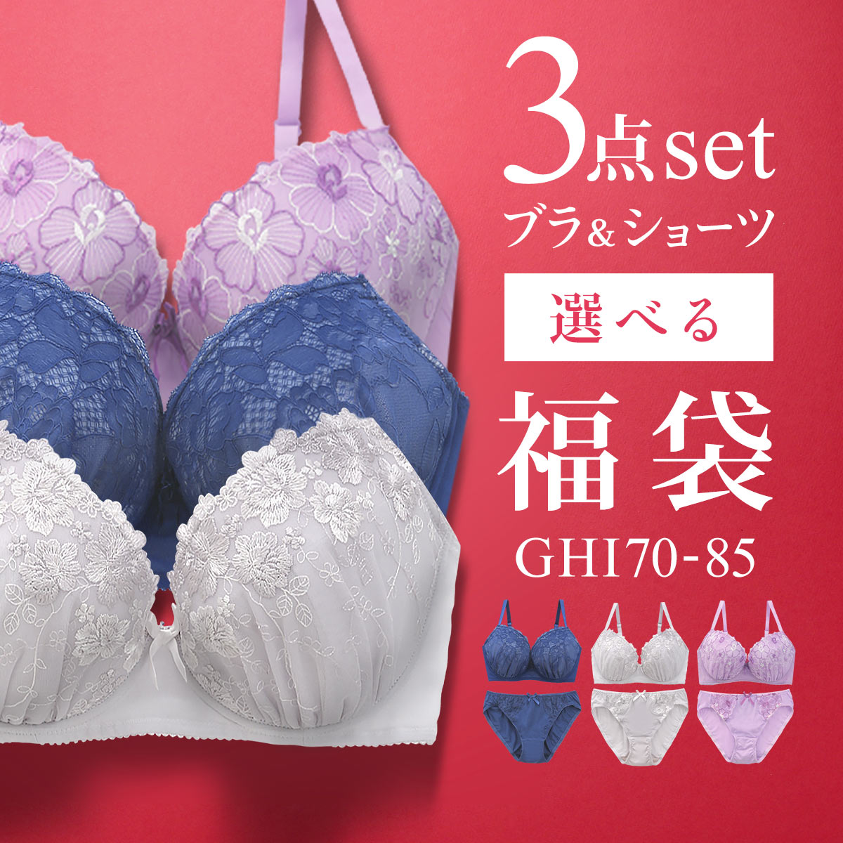 ブラジャー ショーツ セット 3点 中身が見える福袋 GHI 大きいサイズ