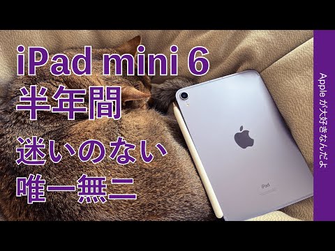 iPad mini 2021 (第6世代) 訳あり・ジャンク 27,000円 | ネット最安値