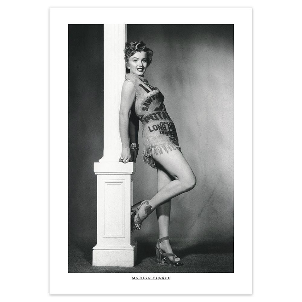 ポスター》ヴィンテージシネマポスター マリリンモンロー A2 - 絵画や