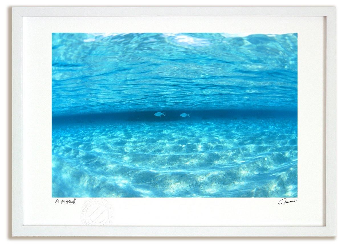 アートフォト》透明な海を泳ぐ魚(撮影地：モルディブ)(レンタル対象