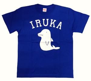 panpanya Tシャツ IRUKA - タコシェオンラインショップ