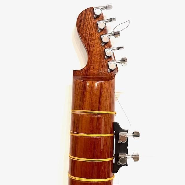 Travel Sitar トラベルシタール ピックアップ付き Shahid Ali製