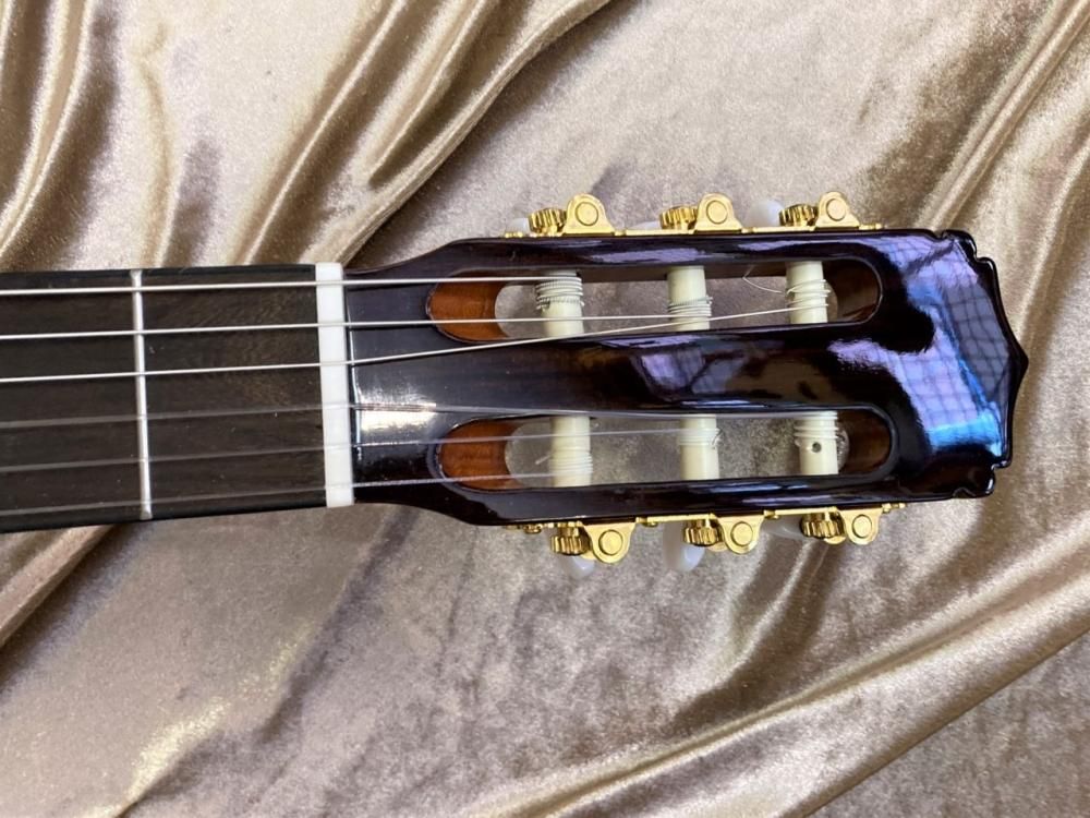 Aria A-20 クラシックギター クリップチューナー付き！ - Sunshine