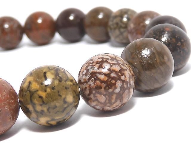 動画】【1点もの】ダイナソーボーン ラウンド10mm 1連(ブレス) NO.1