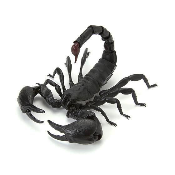 バンダイ いきもの大図鑑 サソリ ダイオウサソリ大