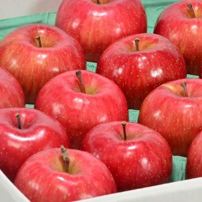 果樹園おまかせ詰合せ青森りんご約5kg（16-20個入）※品種おまかせ2