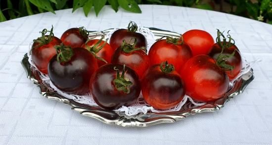 キャスケードビレッジブルートマトの種 - マルシェ青空