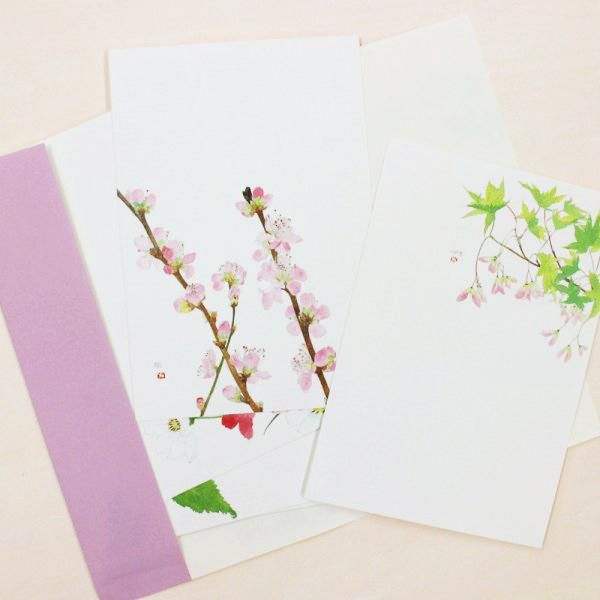 はがき集 外山康雄《おりおりの花たち》 - 表現社 cozyca products