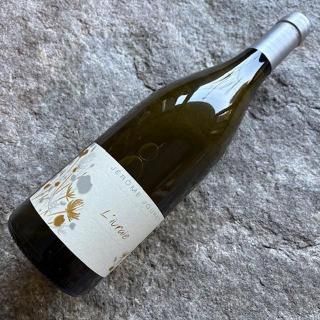 山田堂 ナイアガラ・スパークリング 2025 - R the wine shop