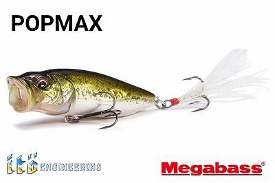 MEGABASS メガバス POPMAX ポップマックス - ファインルアーズ