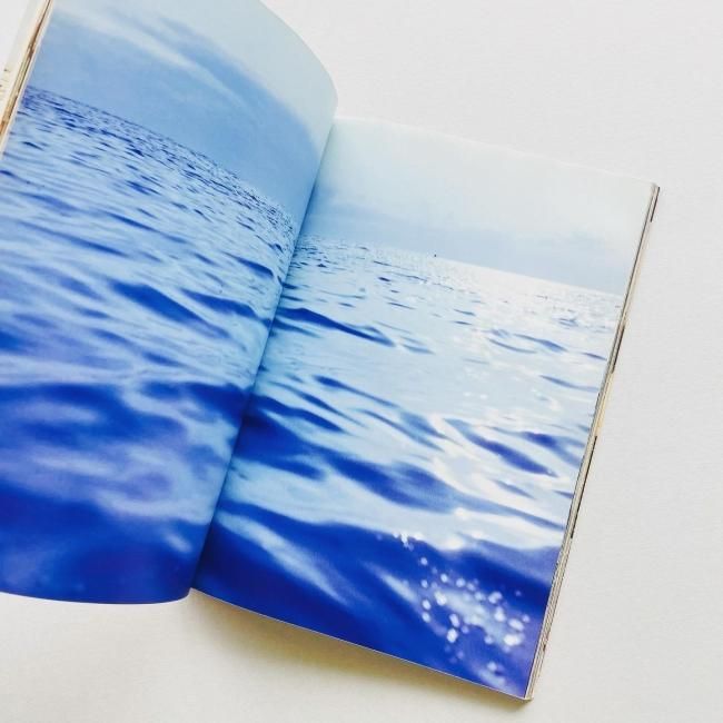 きわめてよいふうけい=SHORT HOPE 中平卓馬｜ホンマタカシ Takashi Homma