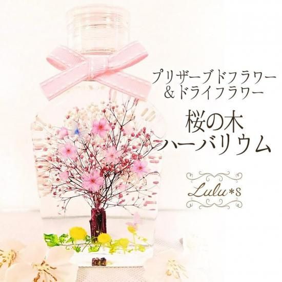 桜 ハーバリウム | 卒業・入学祝い - Lulu＊s 〜ルルズ〜 各種フラワー