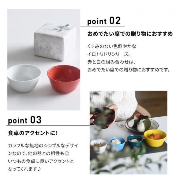 イロトリドリ｜ボウルL【natural69】公式オンラインショップ